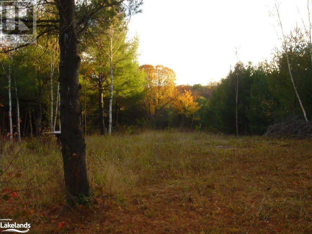 Listing 40323356 - Large Photo # 28