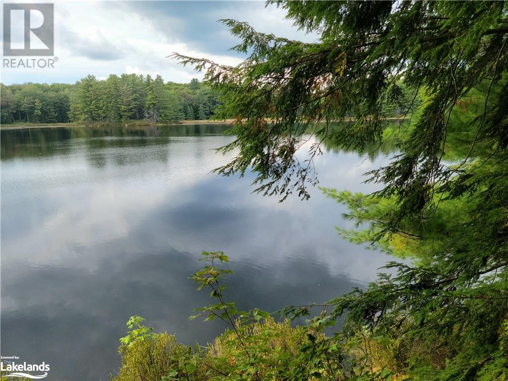 Listing 40323356 - Large Photo # 18