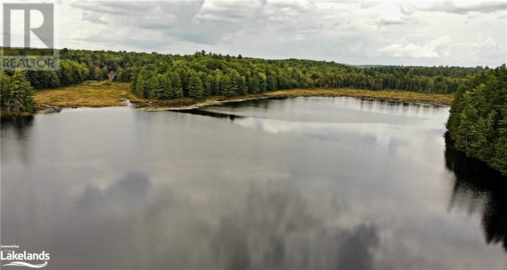 Listing 40323356 - Large Photo # 11