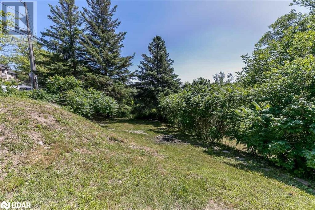 Listing 40323428 - Large Photo # 45