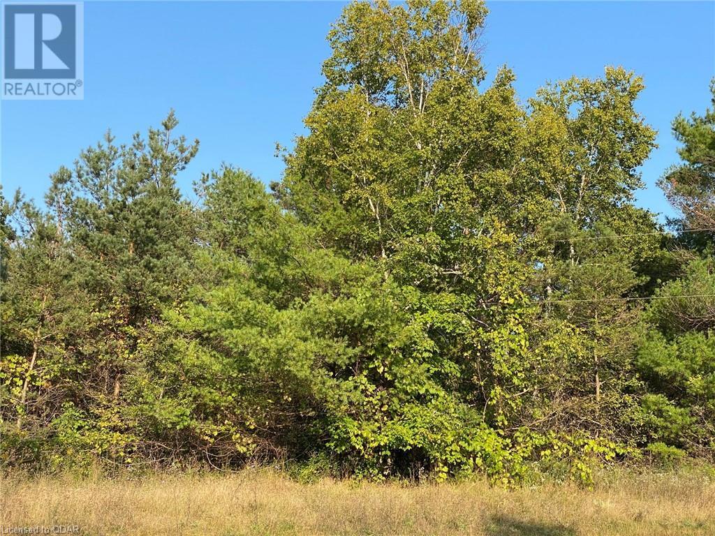 Listing 40324211 - Large Photo # 7
