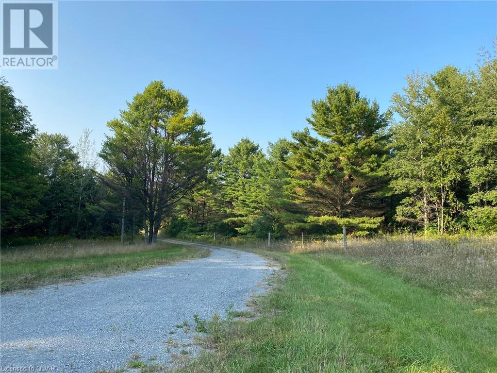 Listing 40324211 - Large Photo # 6