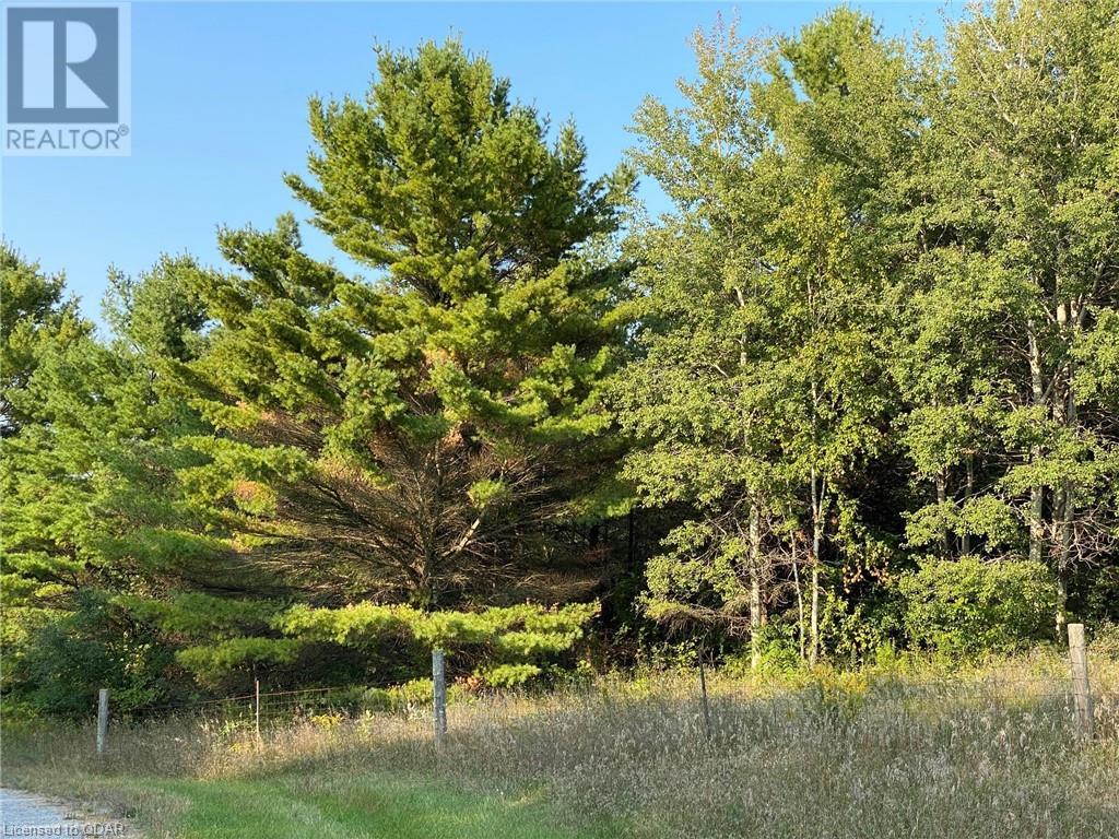 Listing 40324211 - Large Photo # 8