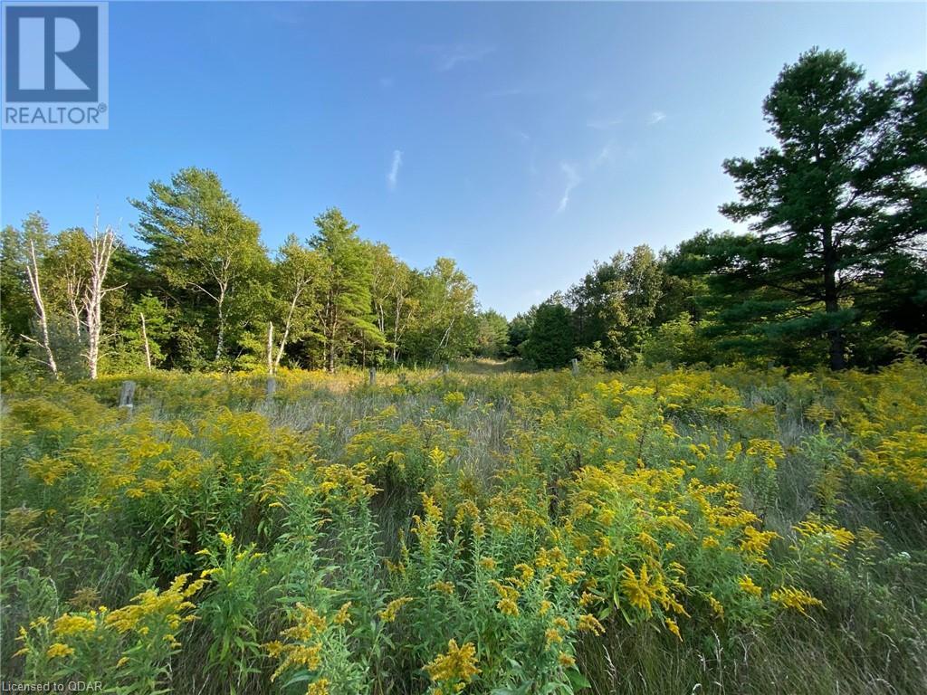 Listing 40324211 - Large Photo # 10