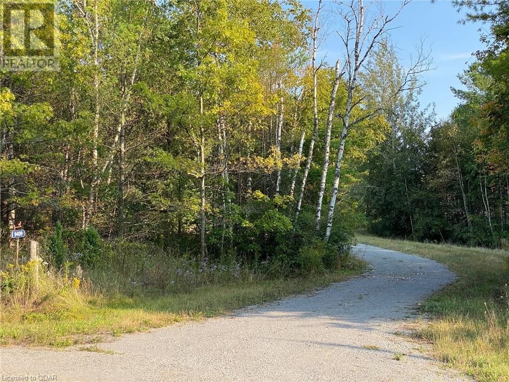 Listing 40324211 - Large Photo # 3