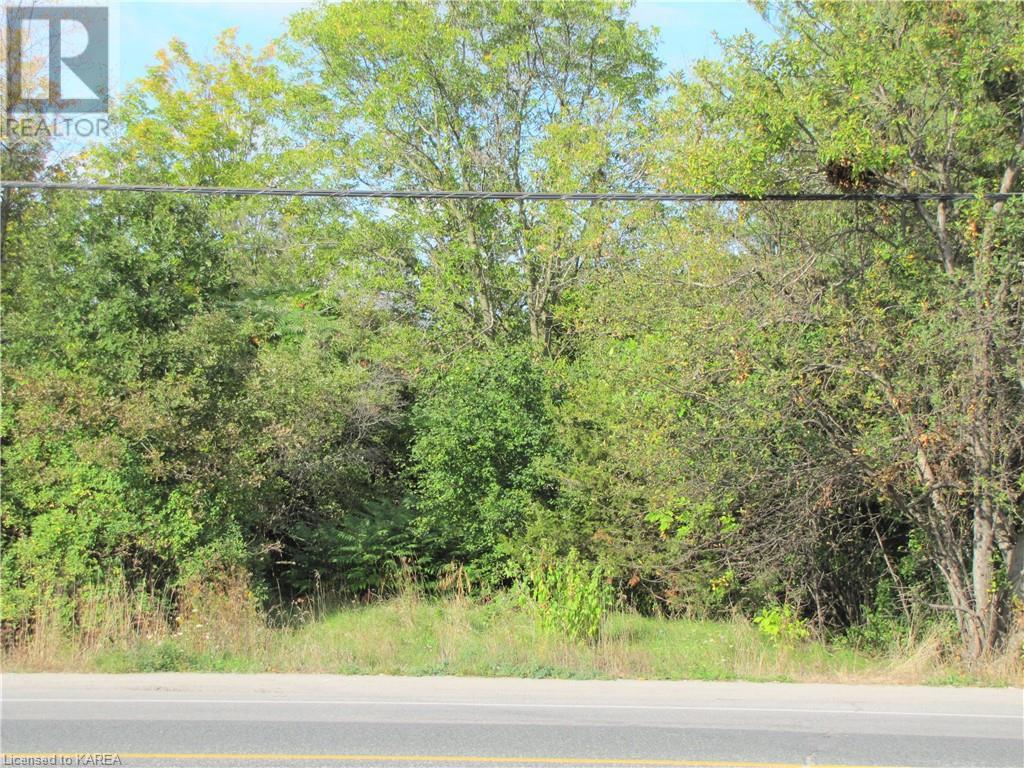 Listing 40332005 - Large Photo # 4