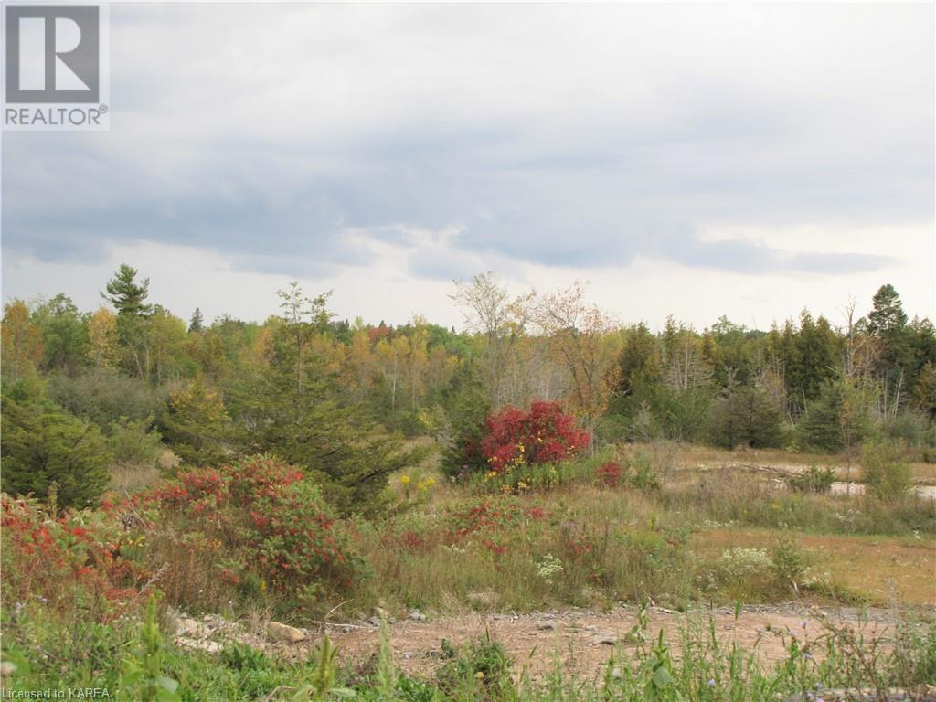 Listing 40332005 - Large Photo # 3