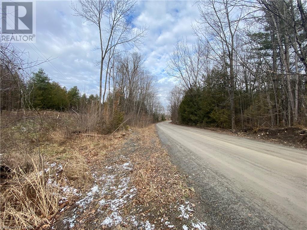 Listing 40332202 - Large Photo # 3