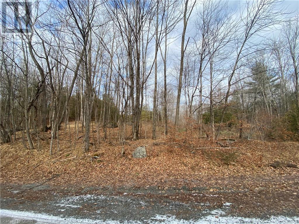 Listing 40332202 - Large Photo # 8