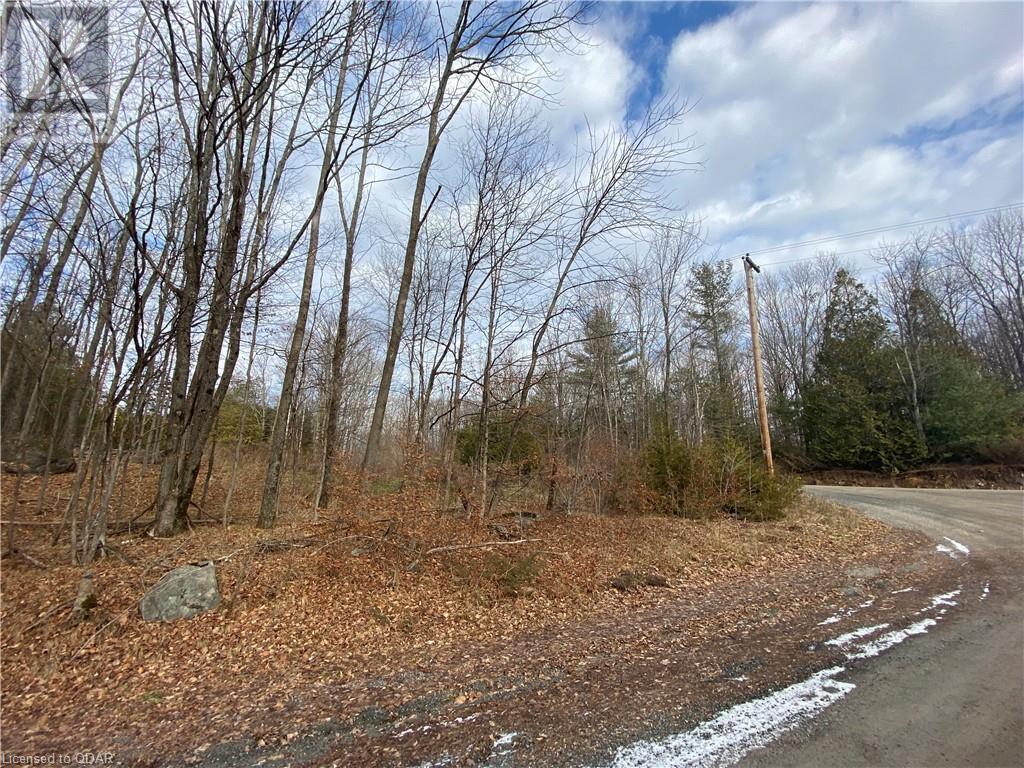 Listing 40332202 - Large Photo # 7
