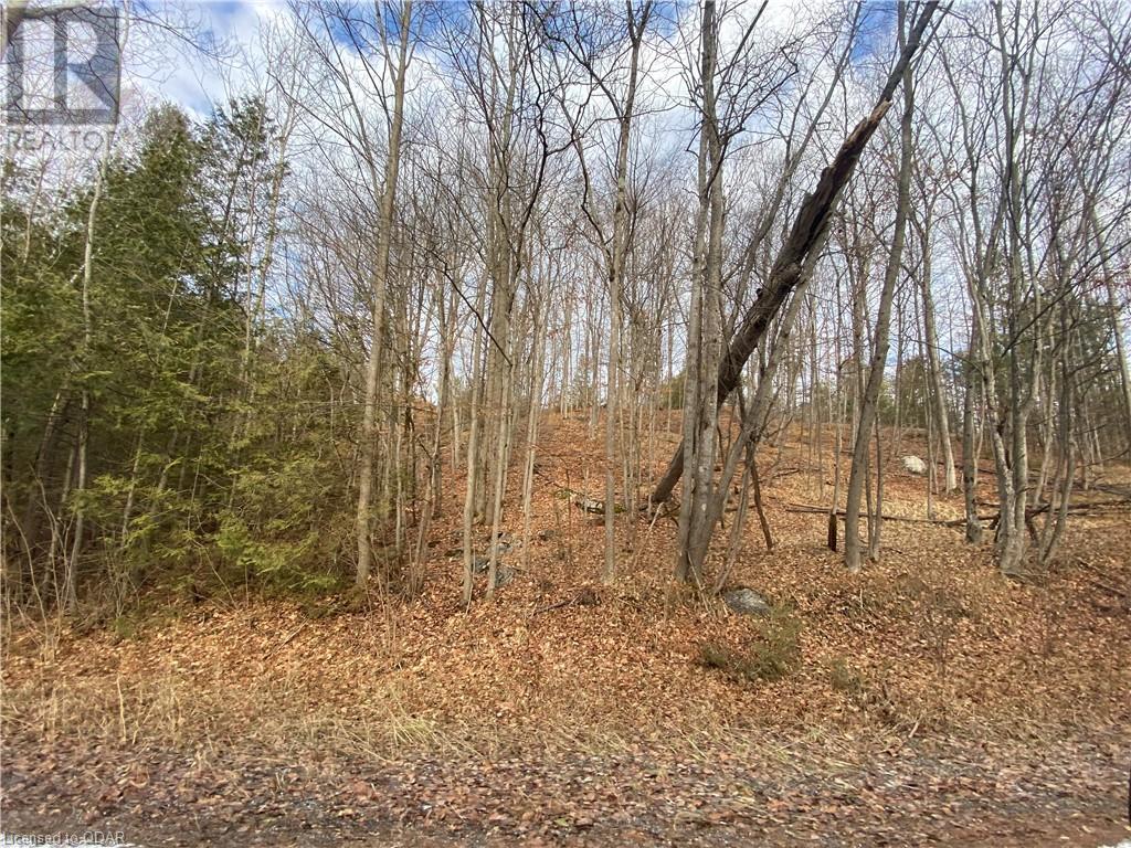 Listing 40332202 - Large Photo # 4