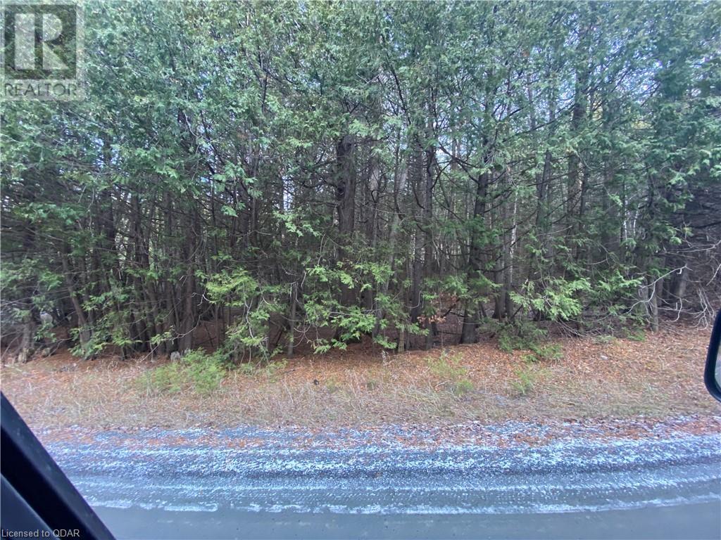 Listing 40332202 - Large Photo # 6