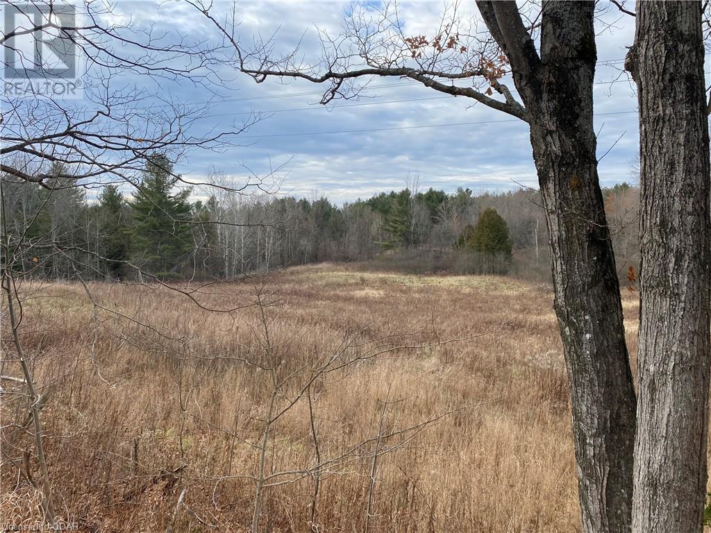 Listing 40332202 - Large Photo # 1
