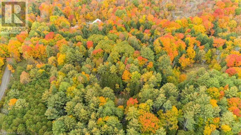 Listing 40332208 - Large Photo # 13