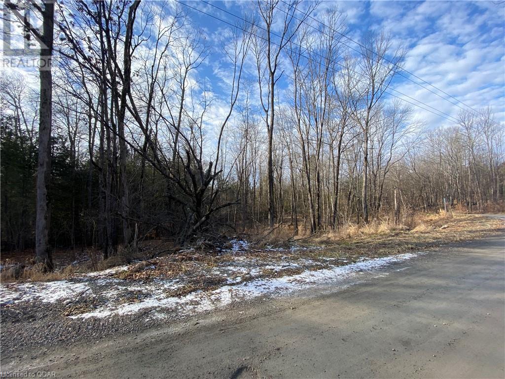 Listing 40332208 - Large Photo # 14