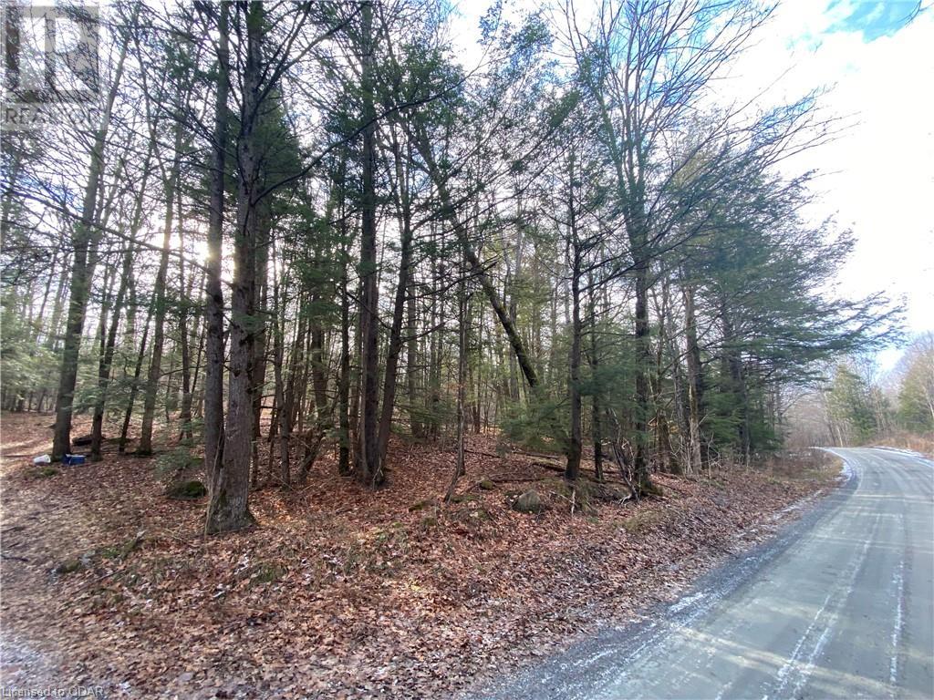 Listing 40332208 - Large Photo # 15