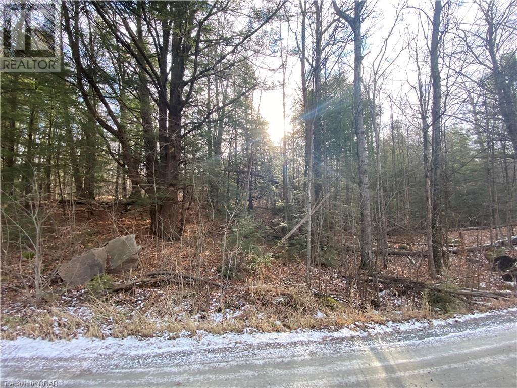 Listing 40332208 - Large Photo # 19