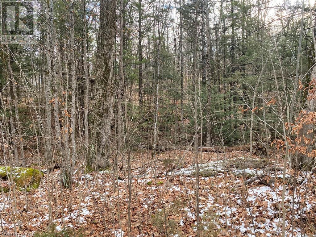 Listing 40332208 - Large Photo # 16