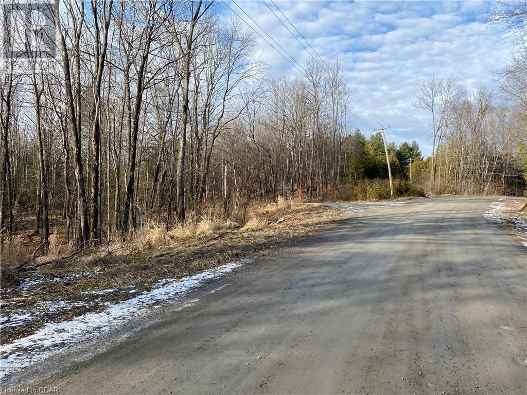 Listing 40332208 - Large Photo # 17