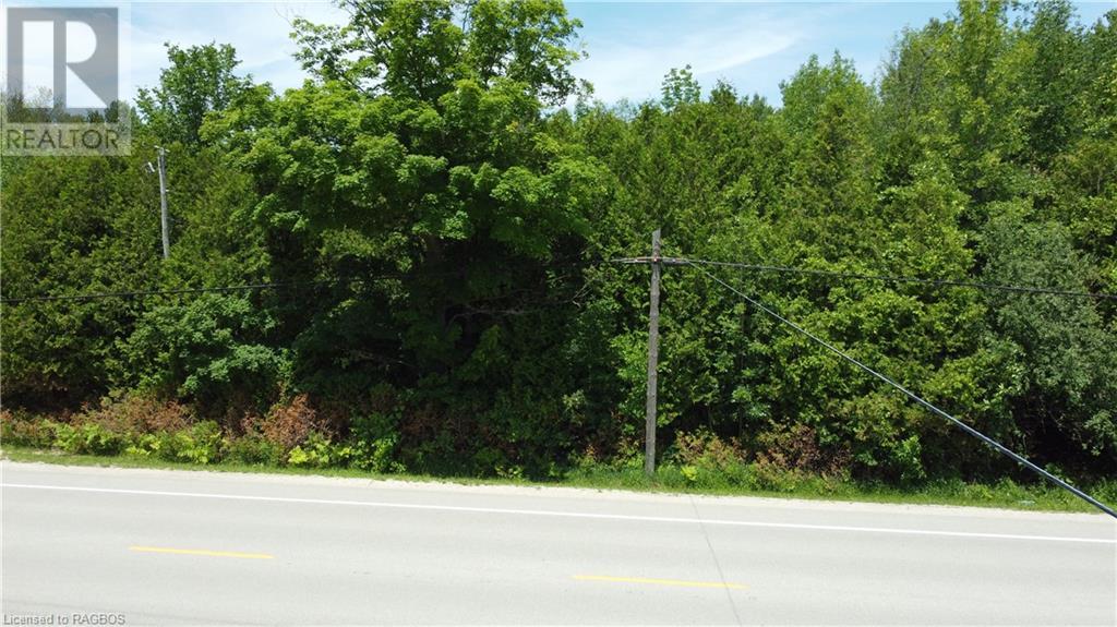 Listing 40333209 - Large Photo # 12