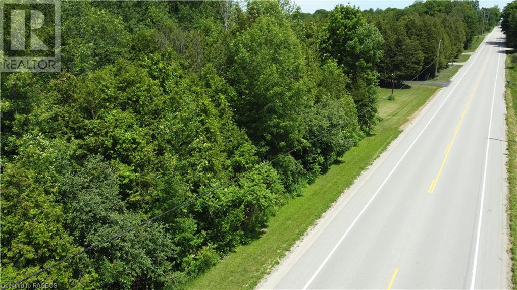 Listing 40333209 - Large Photo # 11
