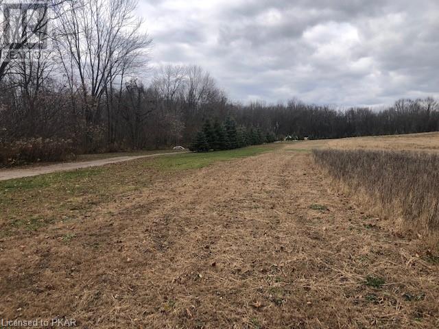 Listing 40333579 - Large Photo # 14