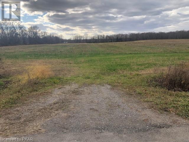 Listing 40333579 - Large Photo # 7