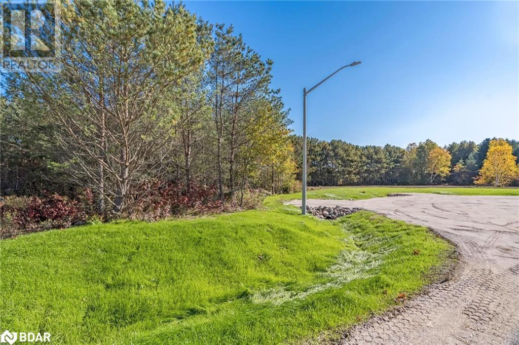 Listing 40334715 - Large Photo # 3