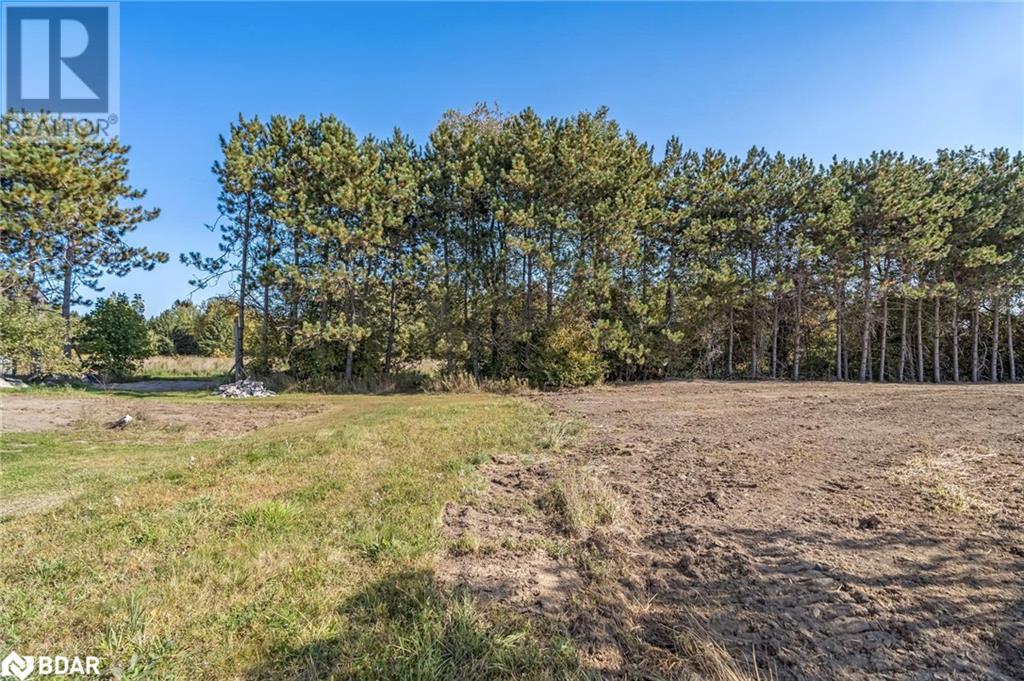 Listing 40334717 - Large Photo # 5