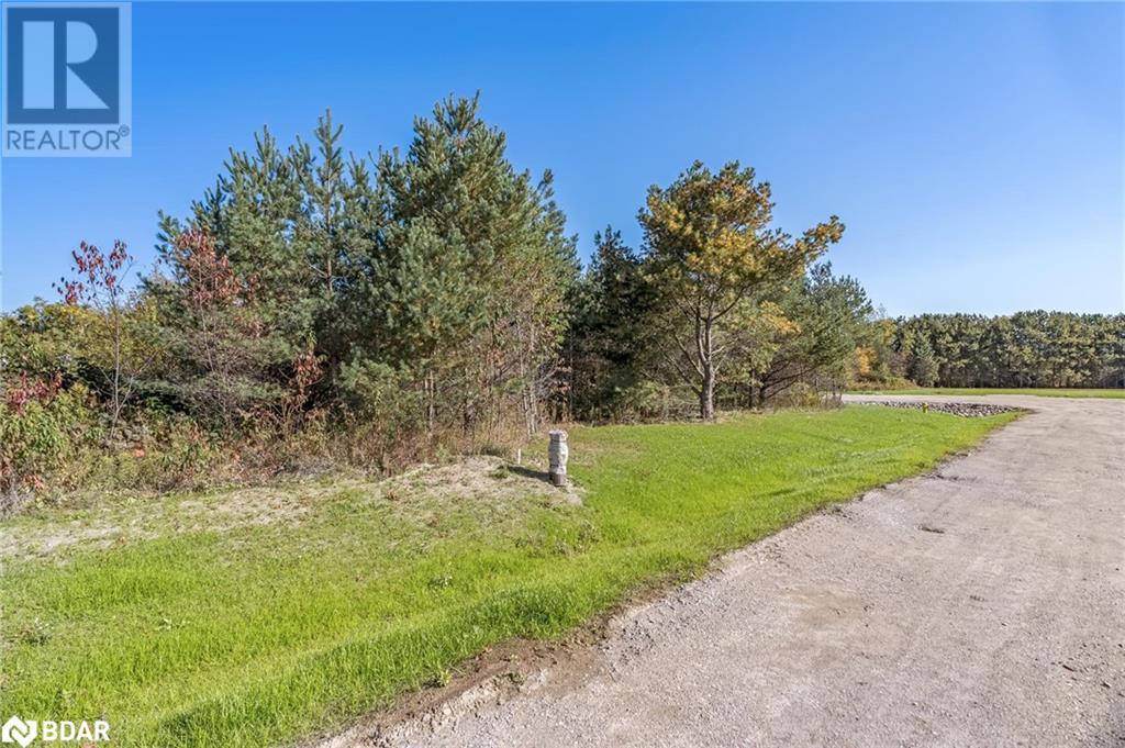 Listing 40334751 - Large Photo # 5