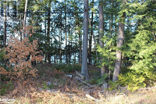 0 CRYSTAL LAKE Road, Kinmount