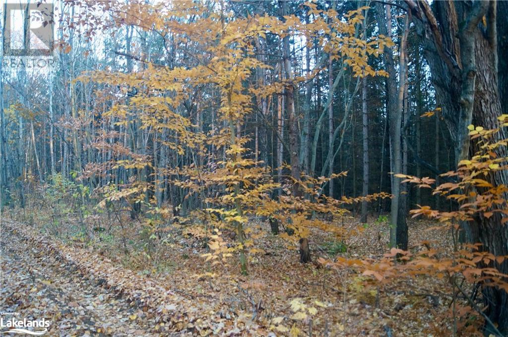 Listing 40337240 - Large Photo # 10