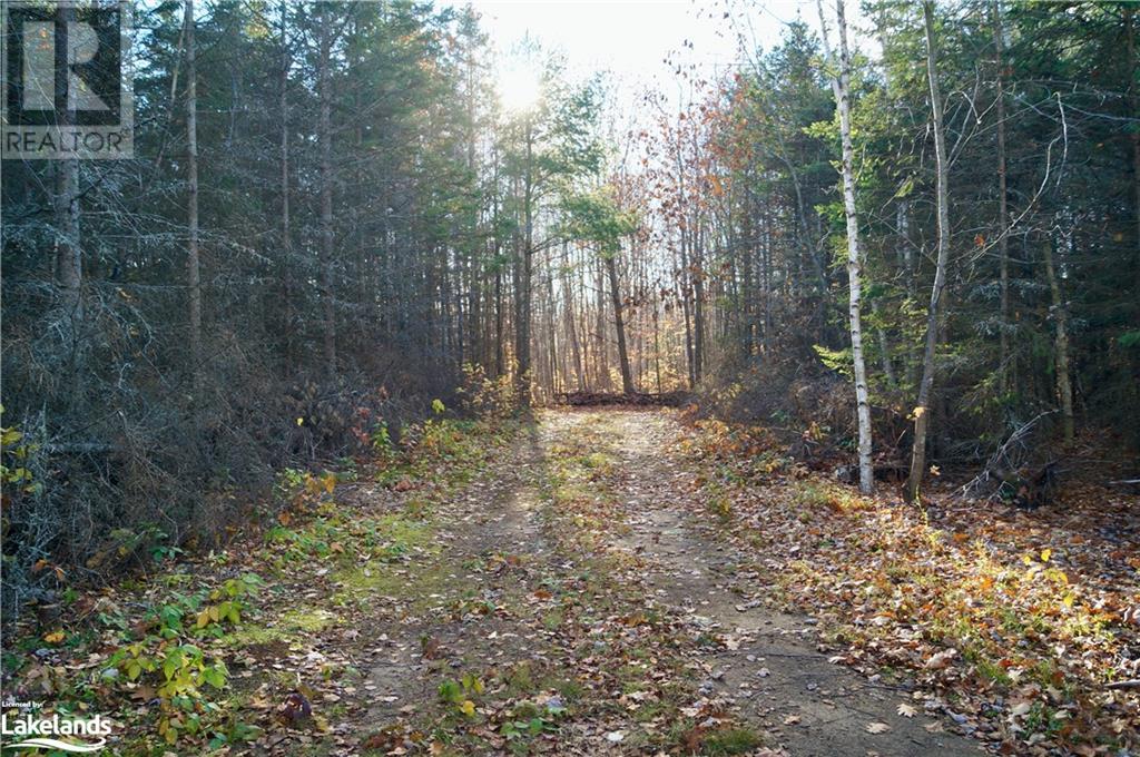 Listing 40337240 - Large Photo # 6