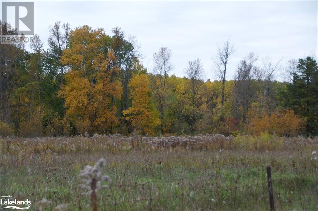 Listing 40337452 - Large Photo # 24
