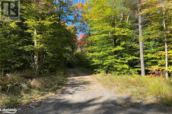 1183 ECHO LAKE Road Unit# 3, Baysville