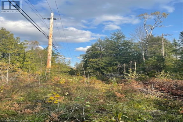 PT. LT. 25 STEENBURG LAKE Road, Limerick