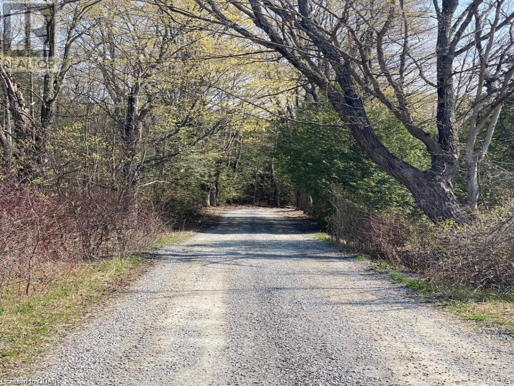 Listing 40338907 - Large Photo # 9