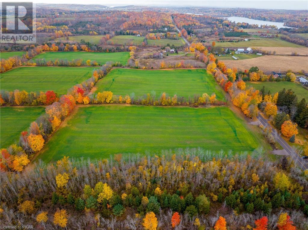 Listing 40339022 - Large Photo # 9
