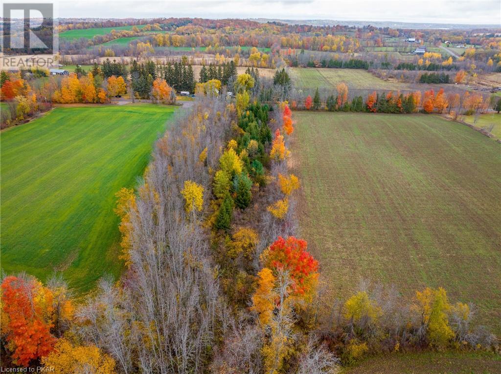 Listing 40339022 - Large Photo # 8