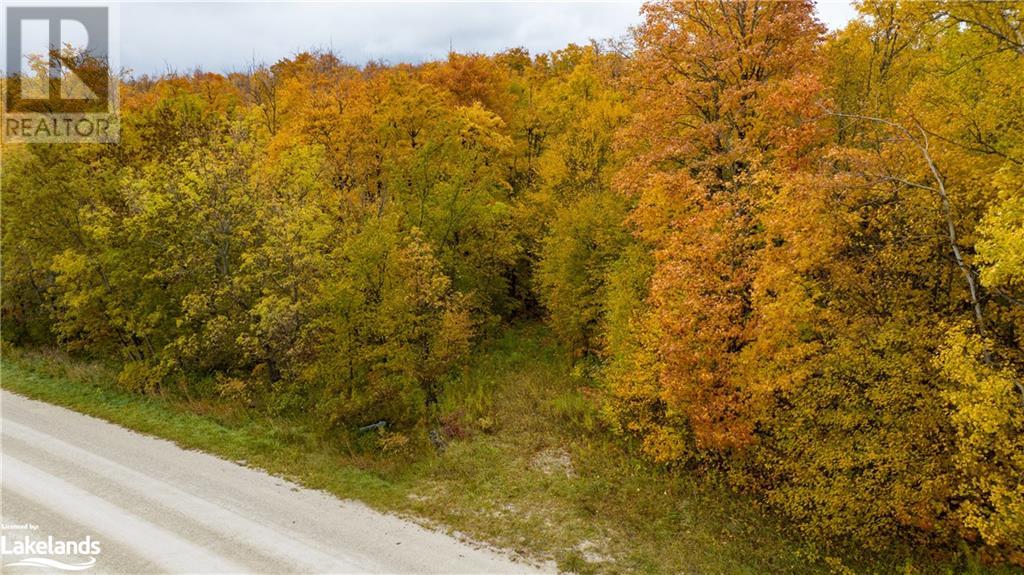 Listing 40339391 - Large Photo # 2