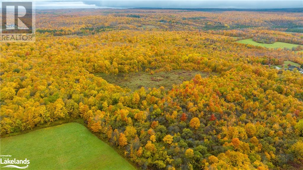 Listing 40339391 - Large Photo # 3