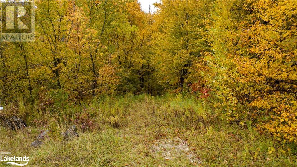 Listing 40339391 - Large Photo # 8