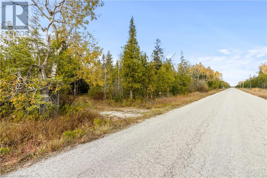 Listing 40339639 - Large Photo # 9