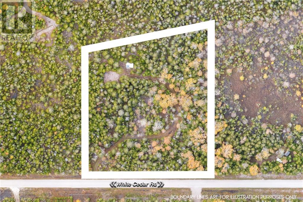 Listing 40339639 - Large Photo # 5