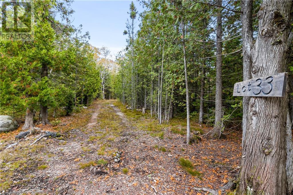Listing 40339639 - Large Photo # 11