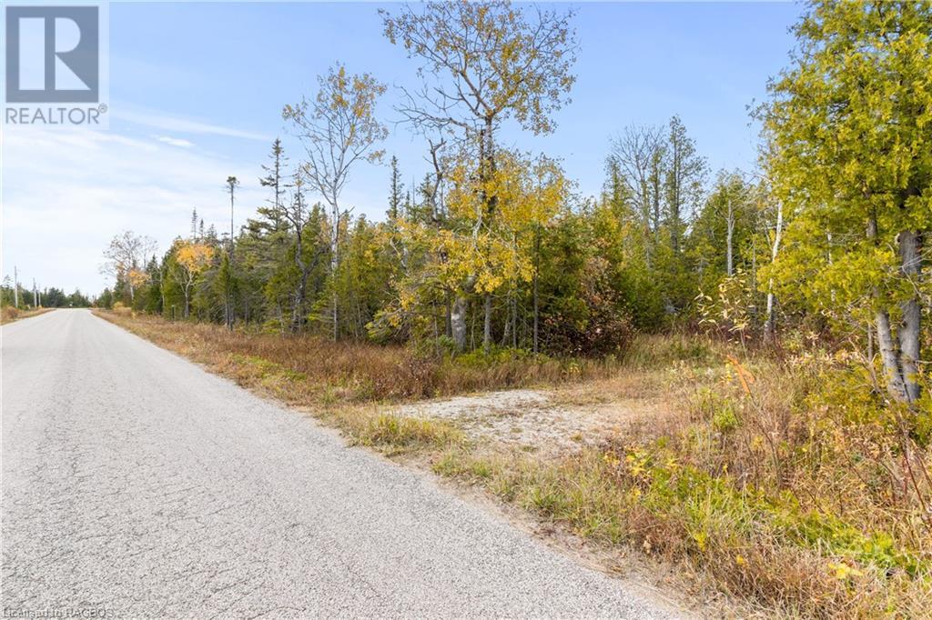 Listing 40339639 - Large Photo # 8