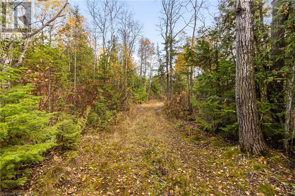 Listing 40339639 - Large Photo # 22