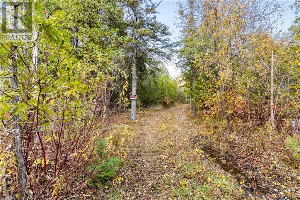 Listing 40339639 - Large Photo # 21