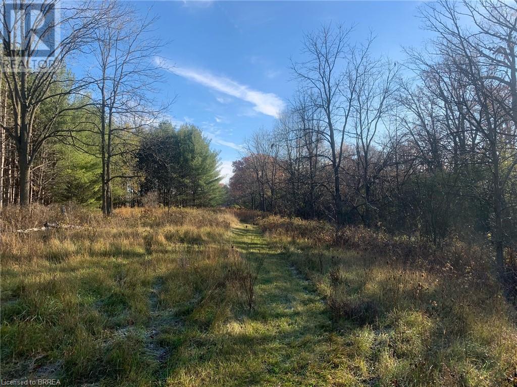 Listing 40340206 - Large Photo # 46