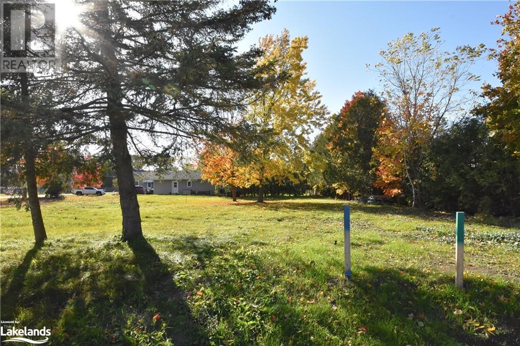 Listing 40340262 - Large Photo # 5